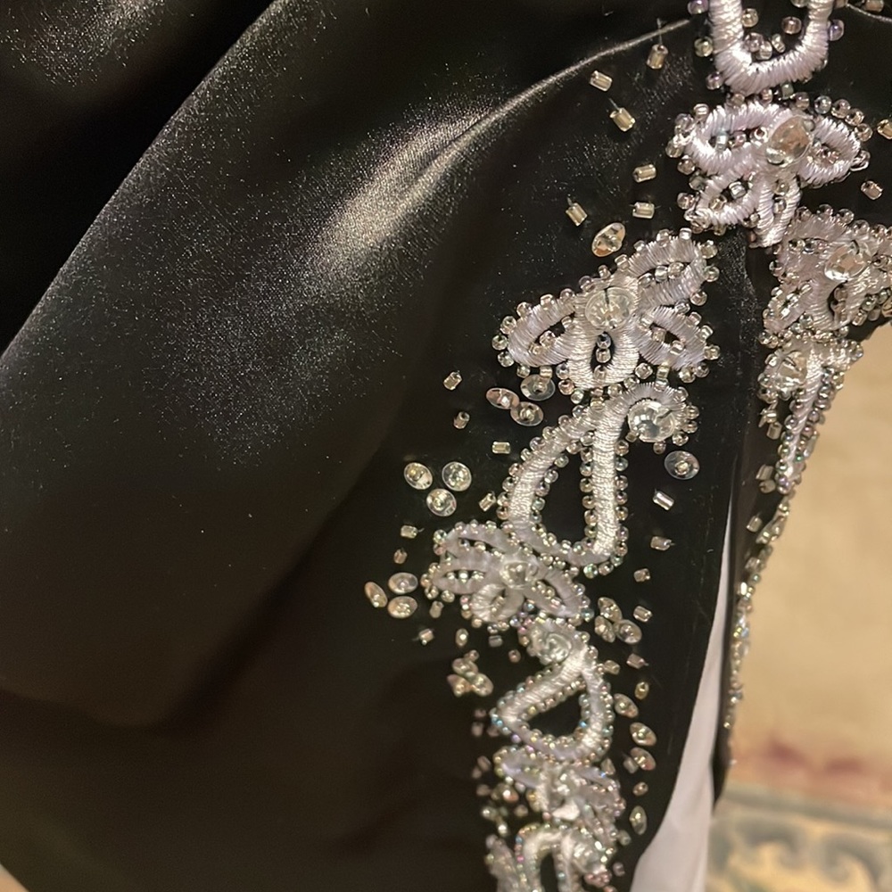Prom Dress - Picture 3 of 7